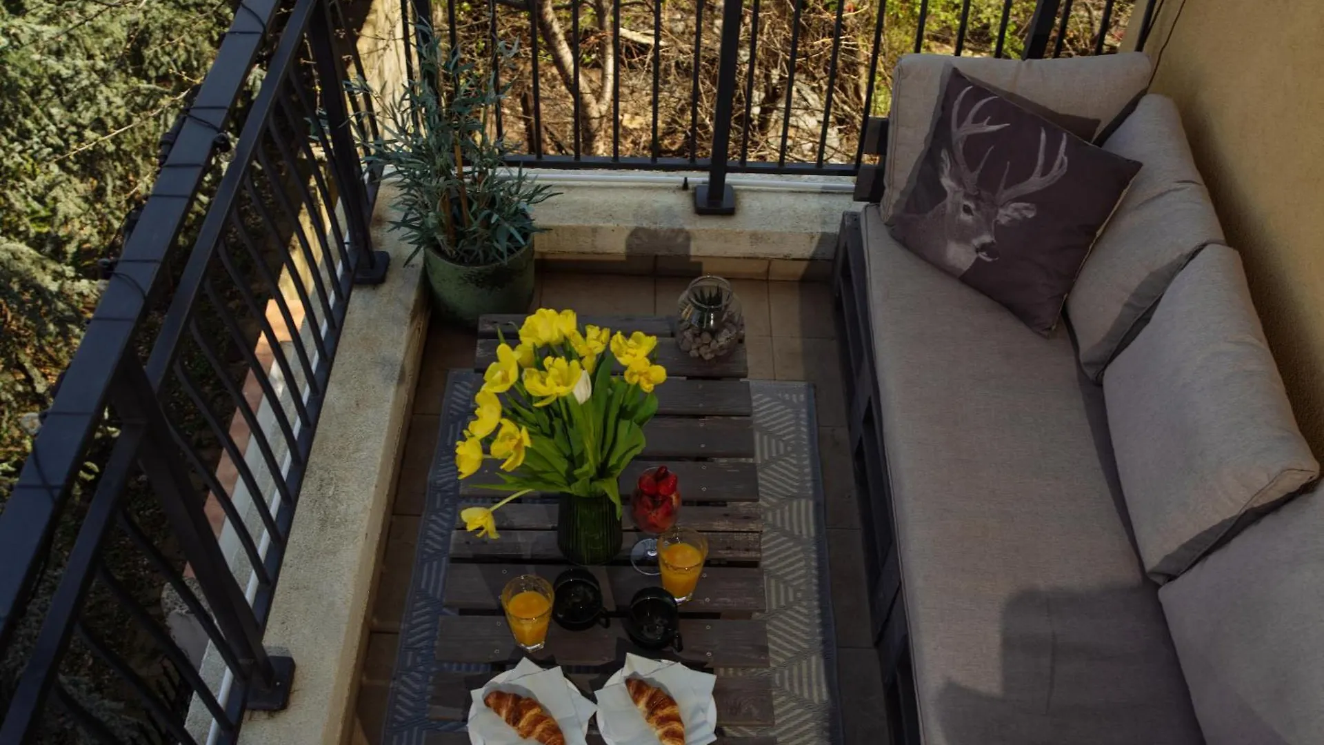 Quiet Studio With Terrace View Bucharest